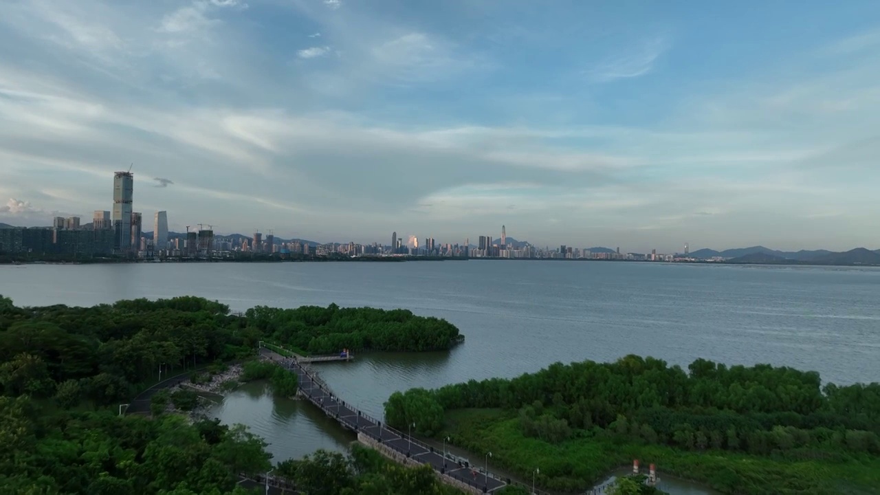 深圳湾海面与城市建筑群视频下载