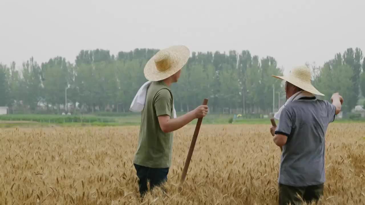 农民父子在农田视频素材