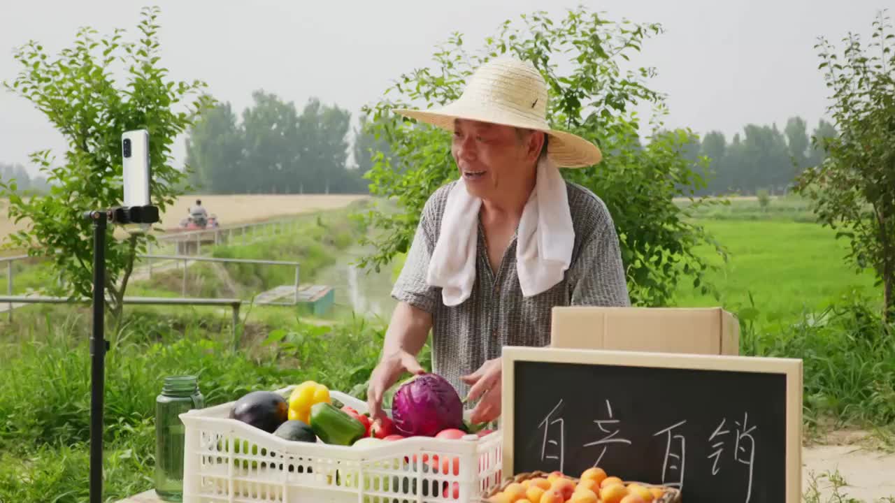 农民在网络直播销售农产品视频下载