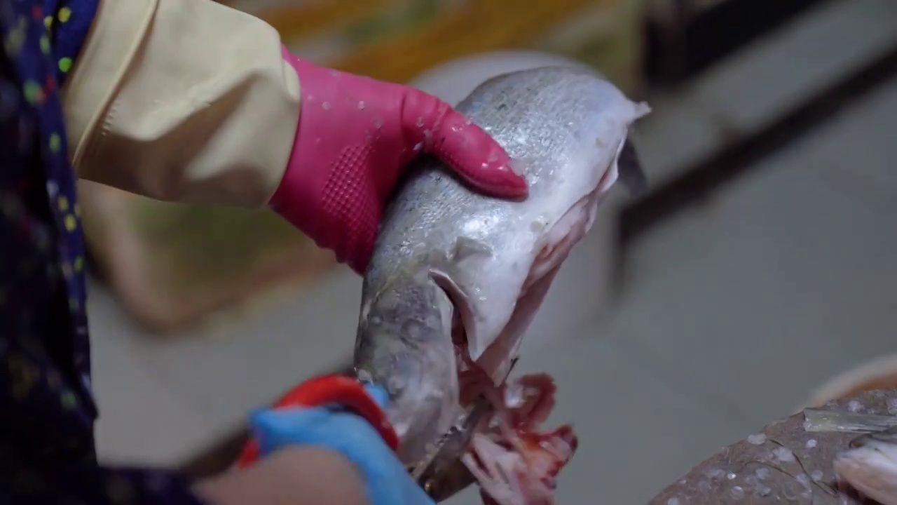 杀鱼的过程视频素材