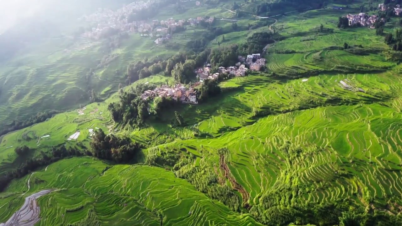航拍梯田水稻种植 梯田围绕的村落视频下载