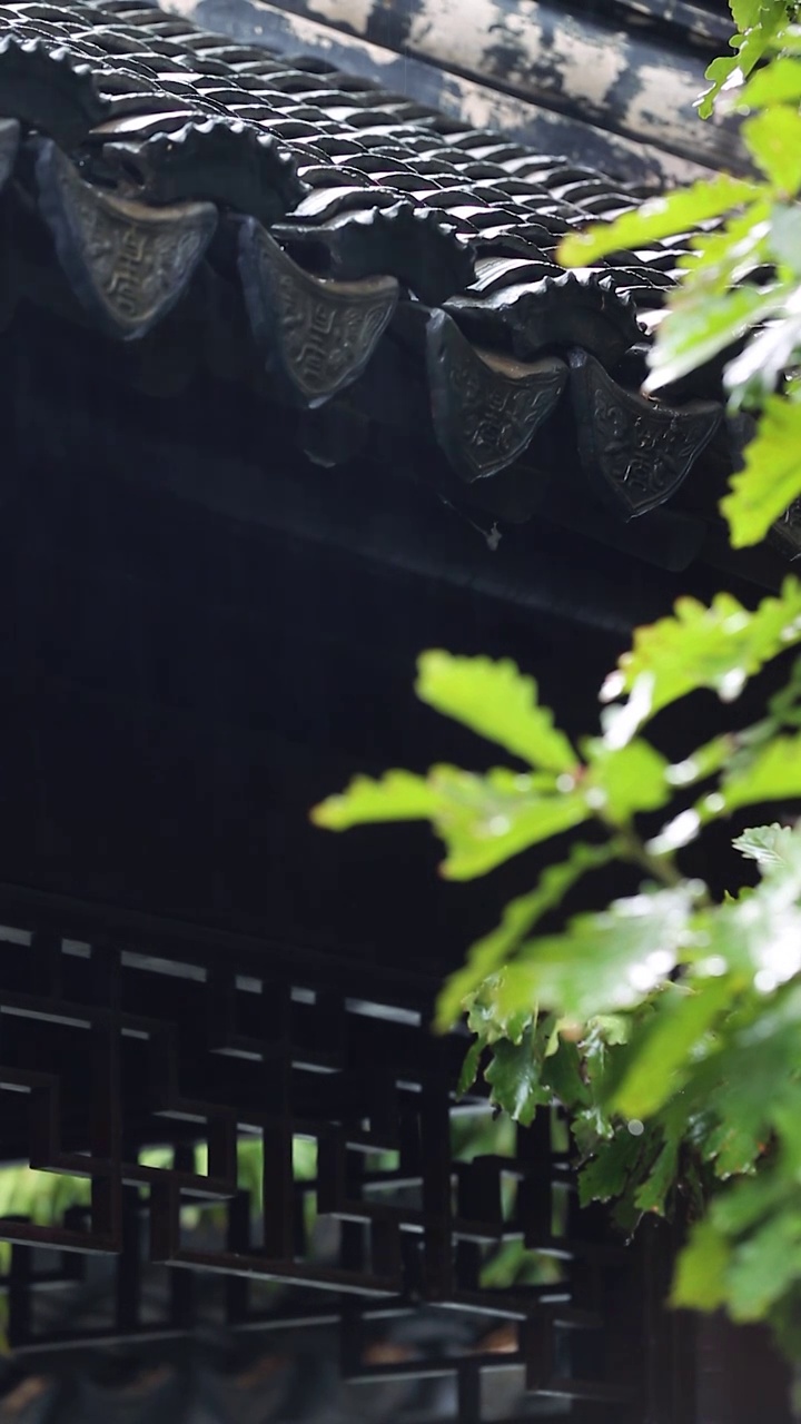 江南古建筑雨景视频素材