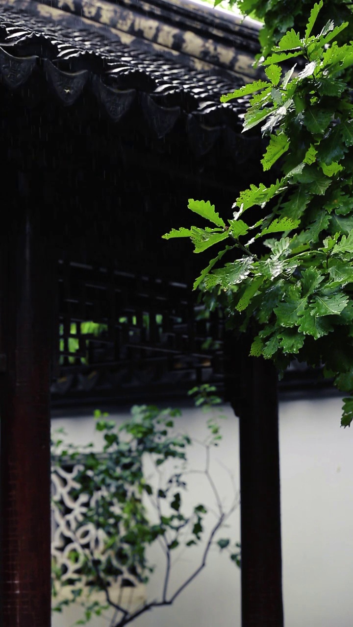 江南古式建筑下雨中视频下载