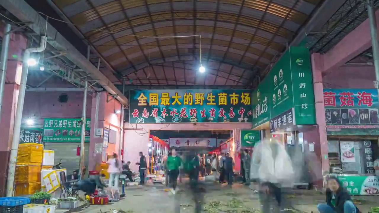 凌晨时的云南木水花野生菌交易市场视频素材