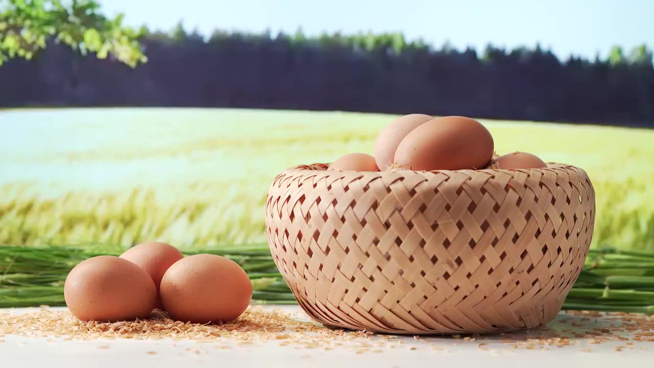 自然背景下的新鲜鸡蛋视频素材