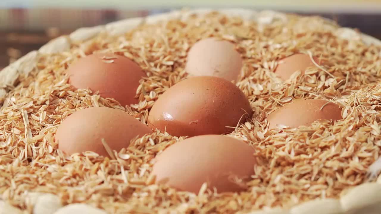 自然背景下的新鲜鸡蛋视频下载