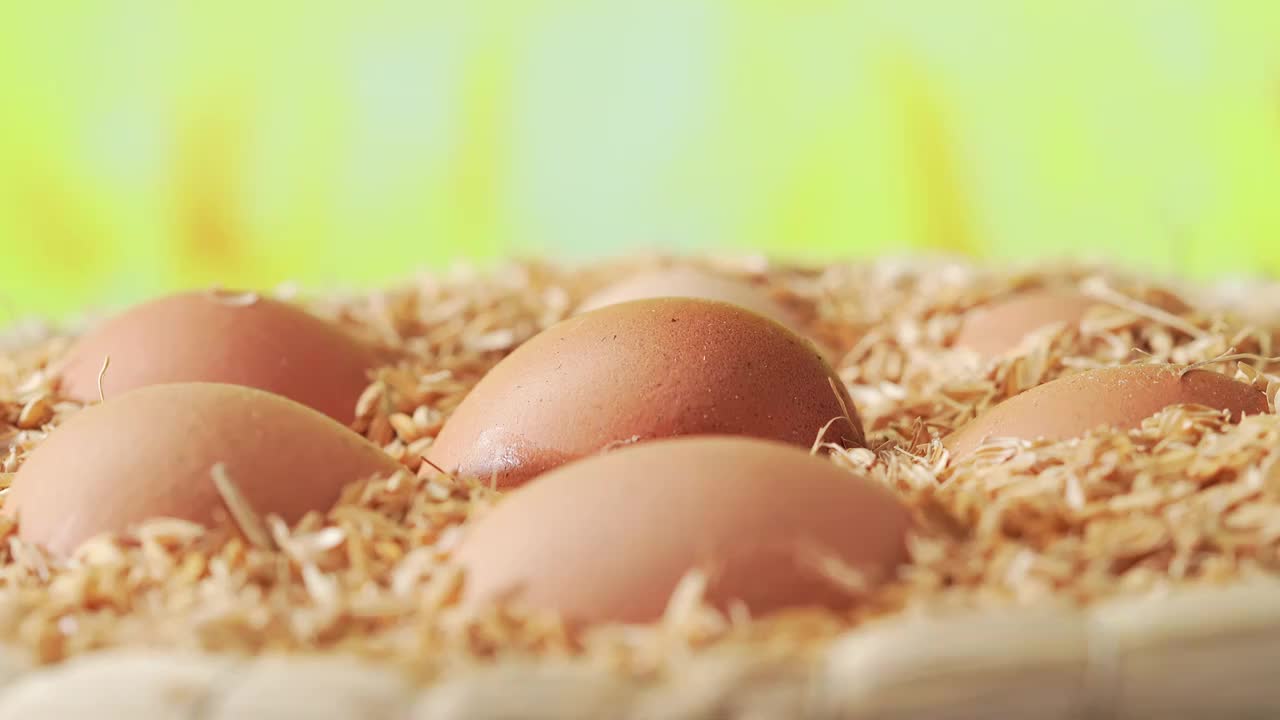 自然背景下的新鲜鸡蛋视频素材
