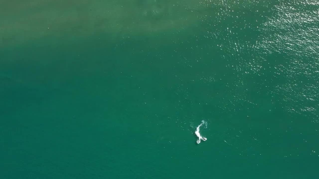 航拍海南万宁神州半岛摩托艇表演水中比心视频下载