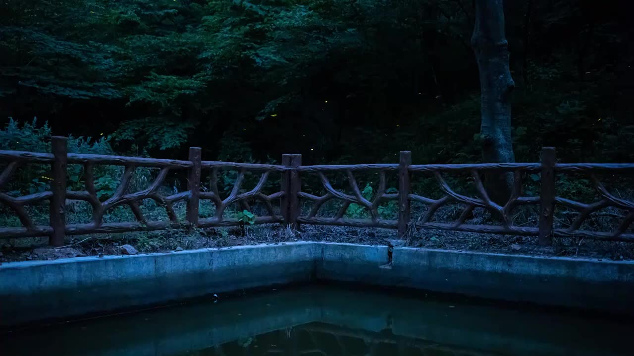 南京老山夏夜萤火虫视频素材