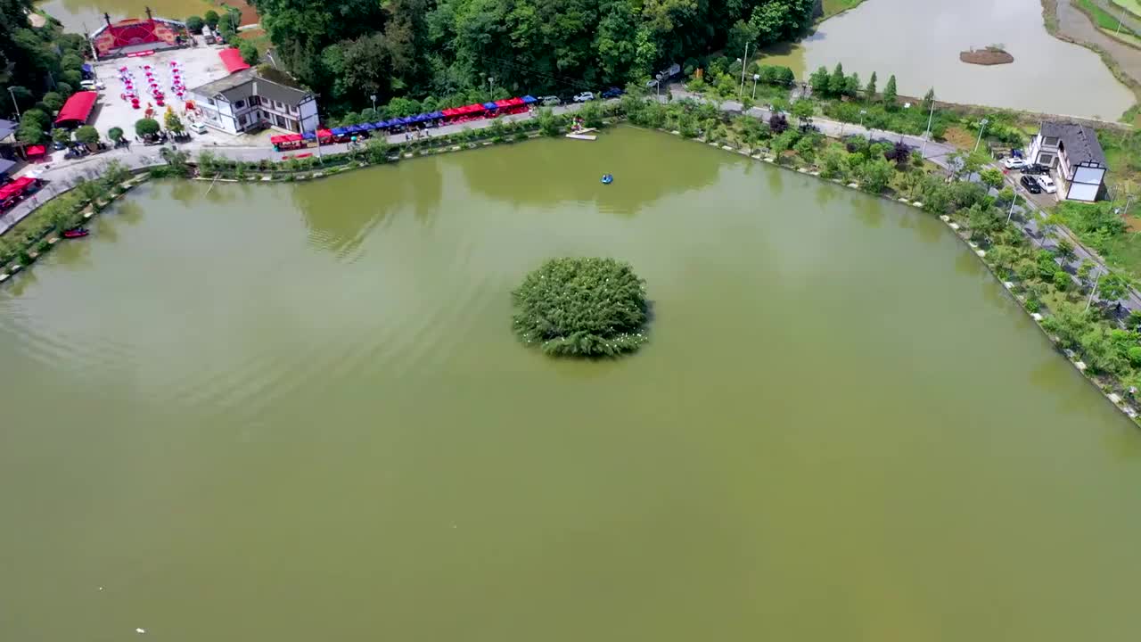 贵州乡村中的鸟岛视频素材