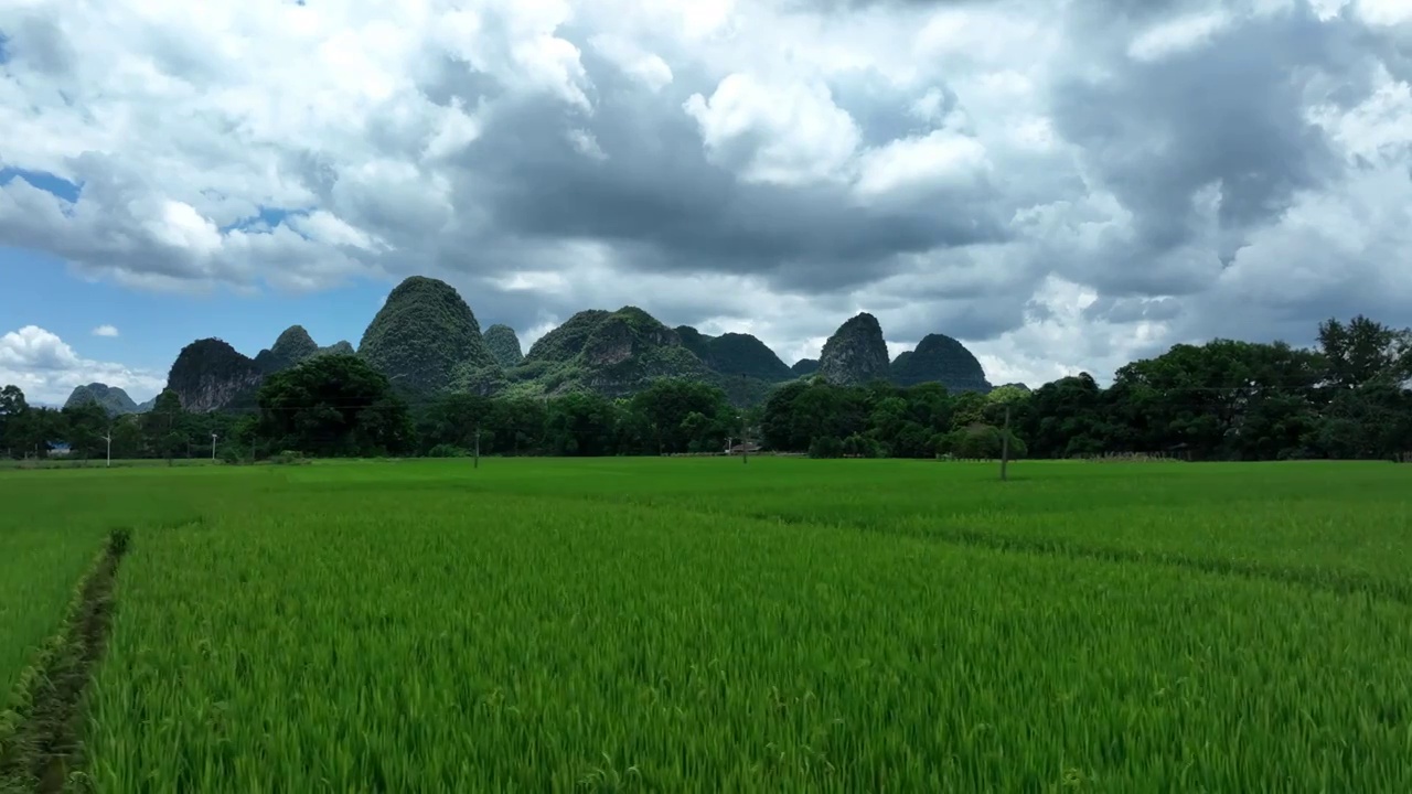 夏季蓝天白云阳光下山边的绿色稻田视频素材