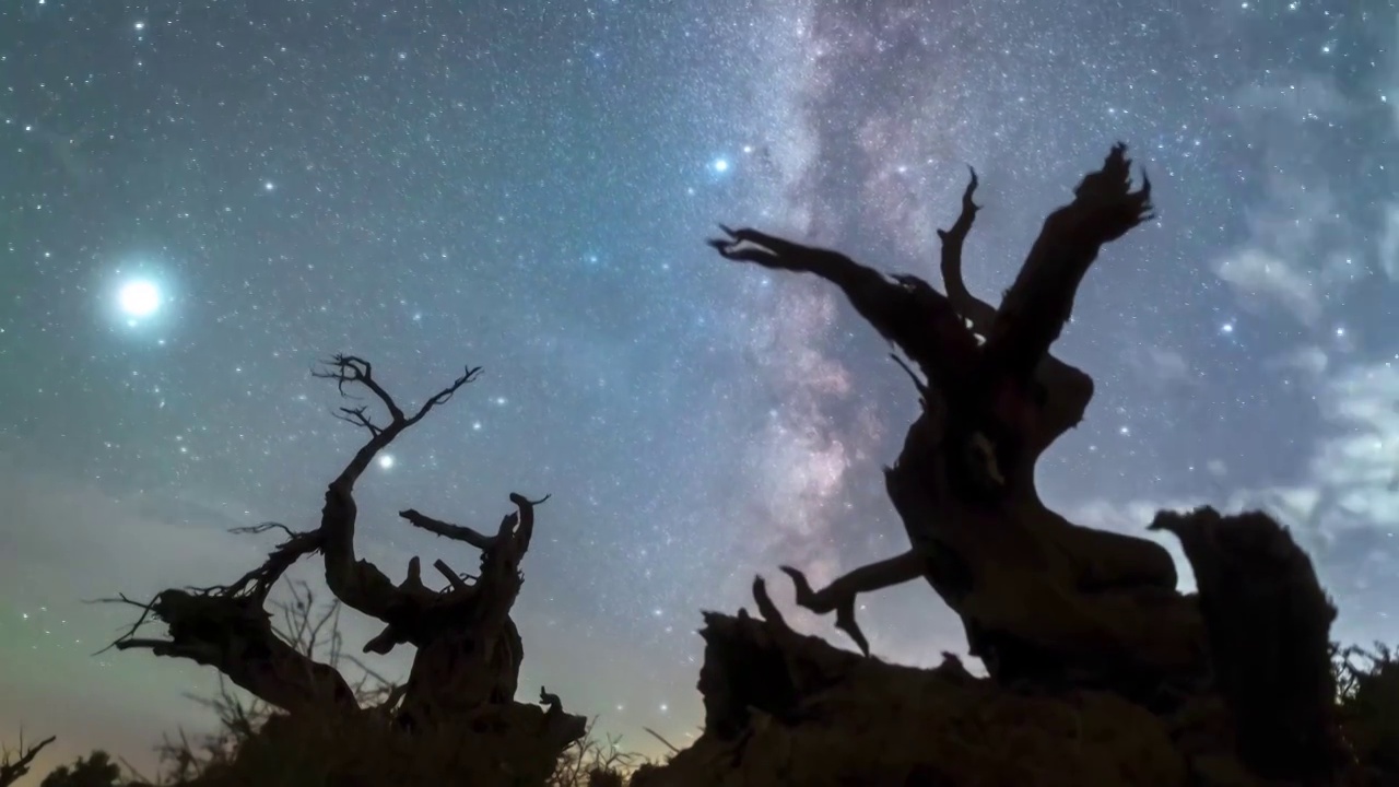 星空延时：新疆哈密胡杨林与繁星视频素材