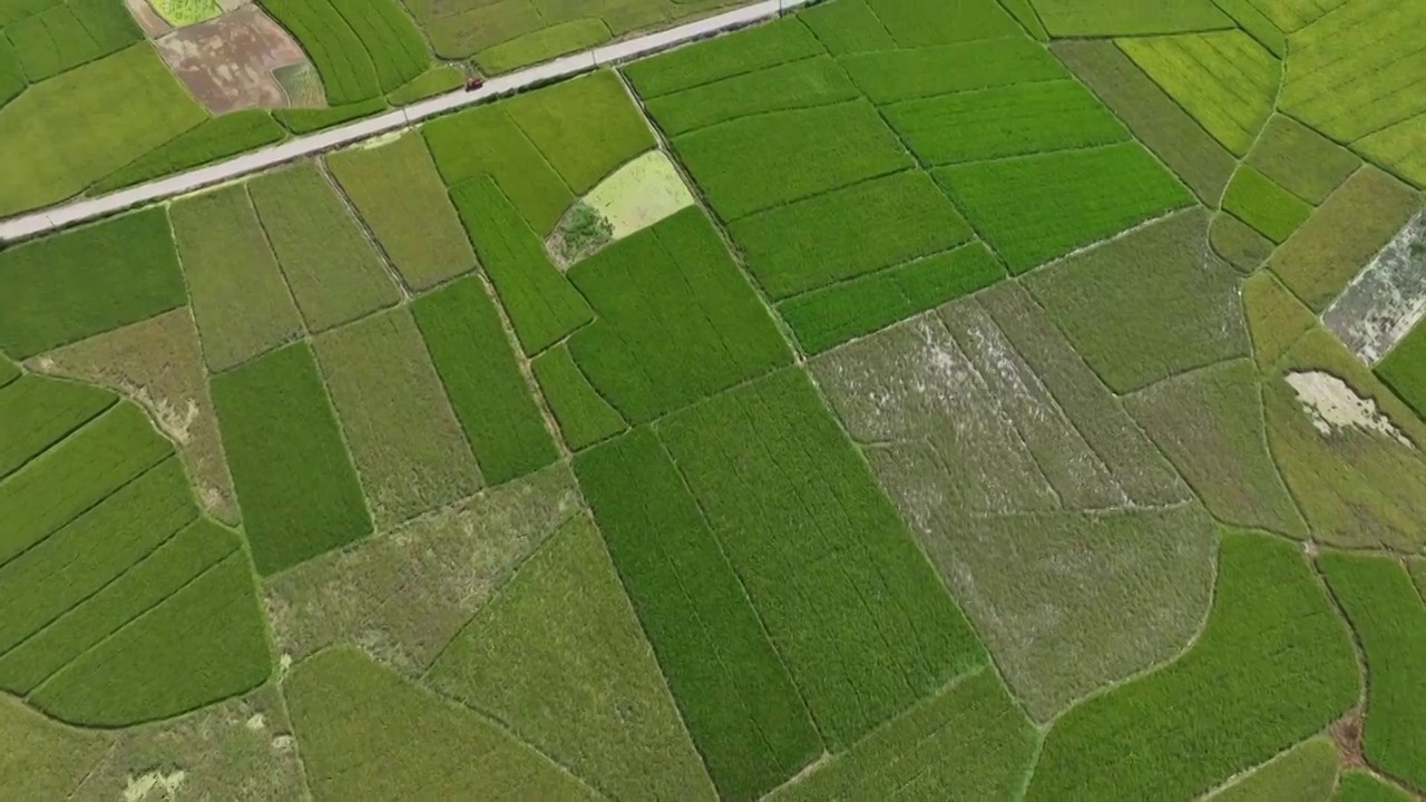 夏季阳光下桂林的田园风光视频素材
