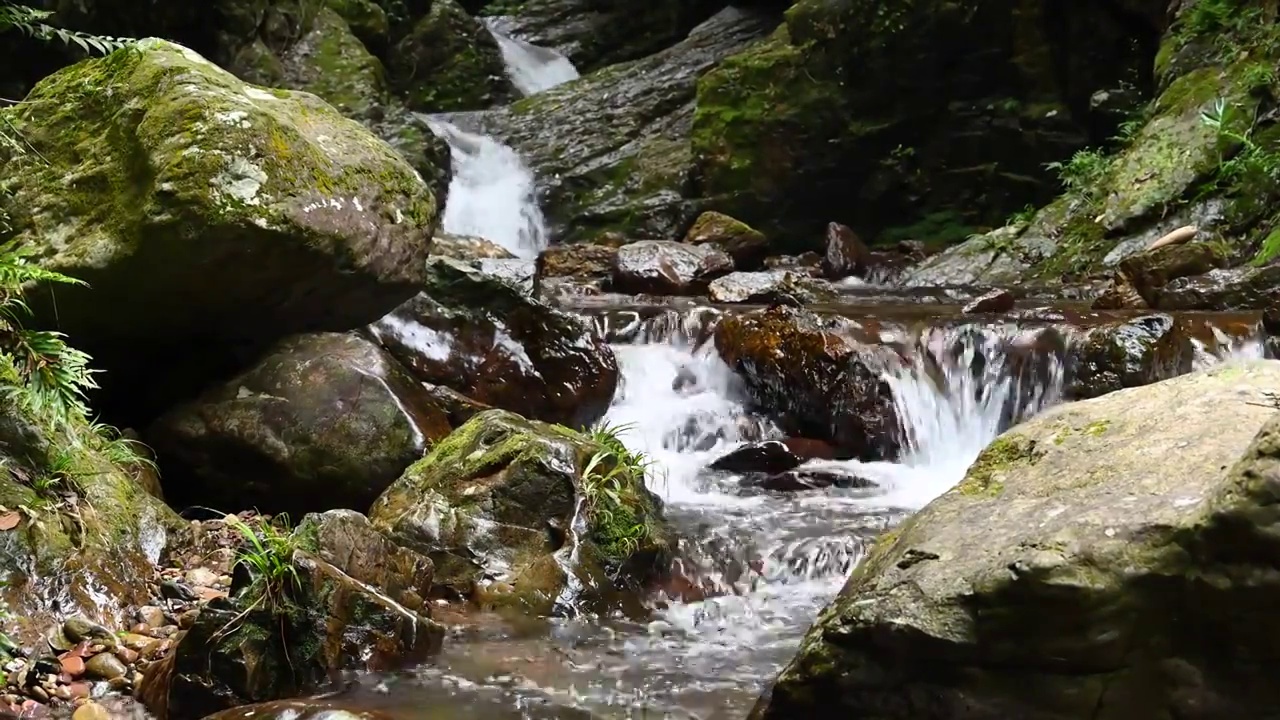 阳光下桂林大山森林里的溪流视频素材