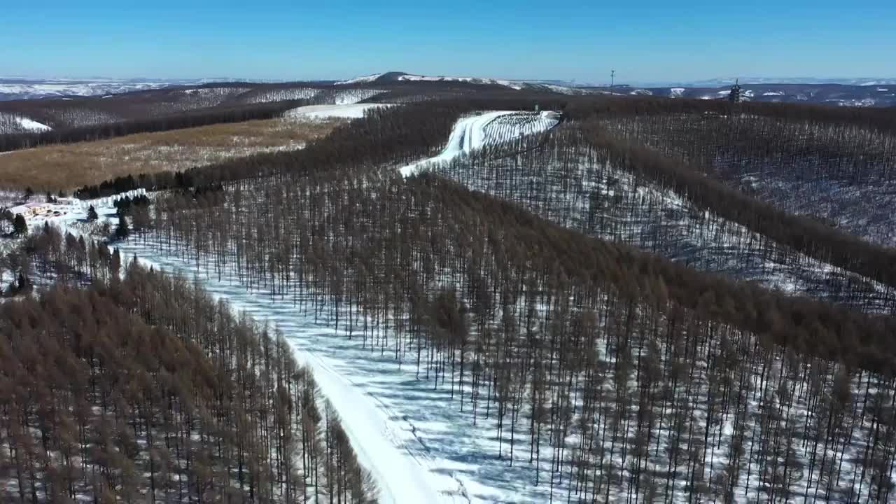 河北省机械林场雪景视频视频下载