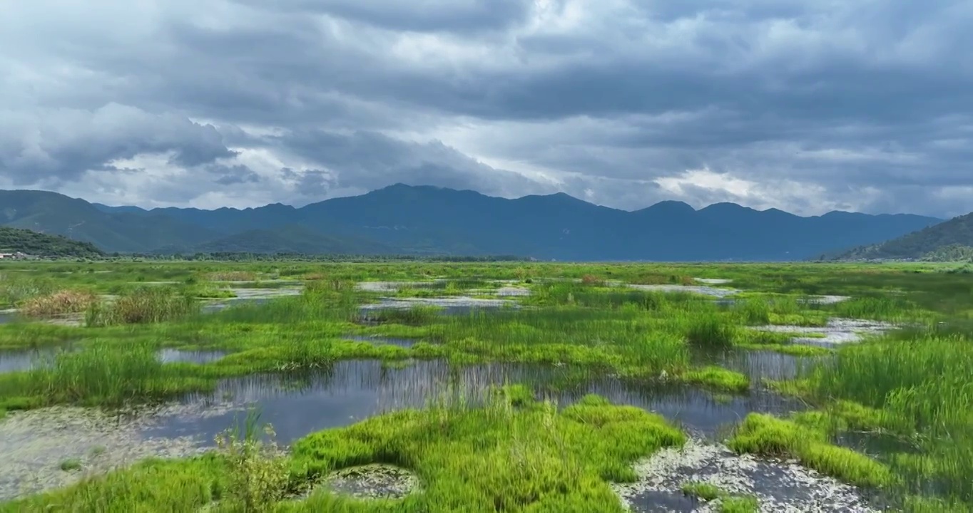 泸沽湖草海生态风光航拍视频素材