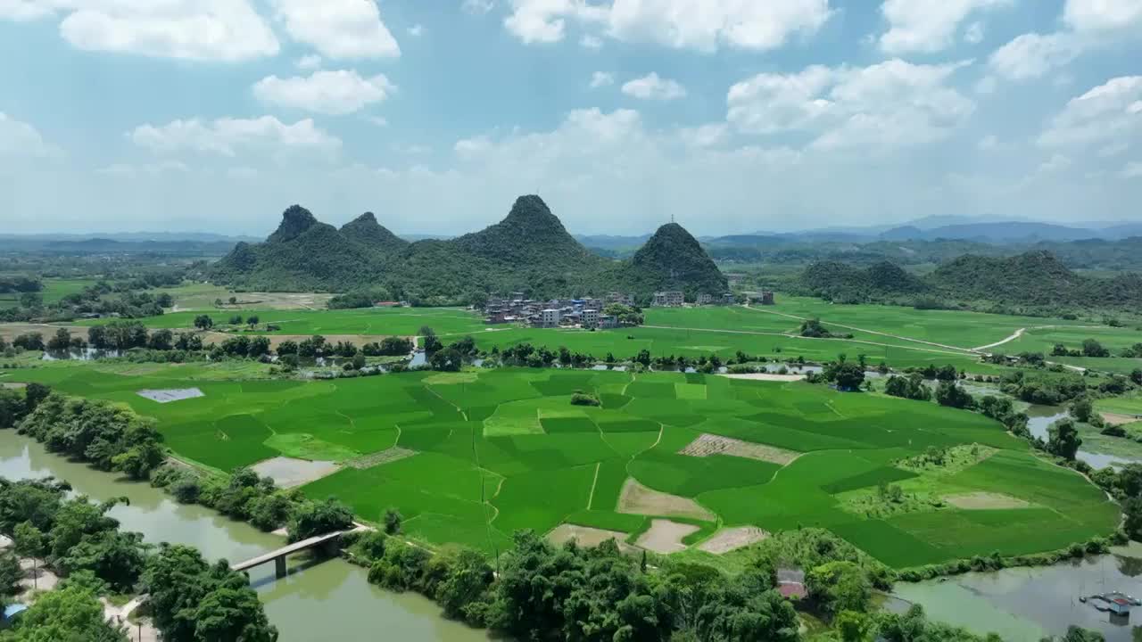 夏季蓝天白云阳光下桂林河边的田园风光视频素材