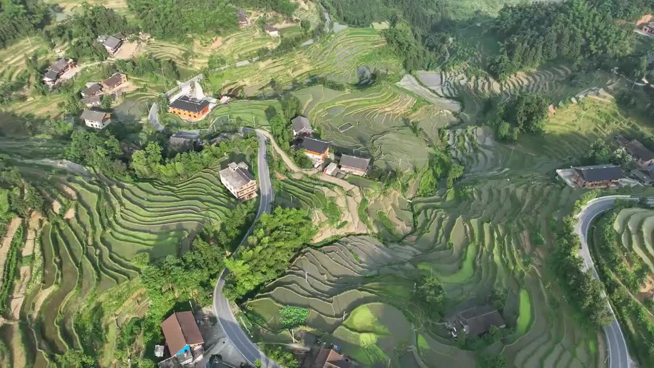 紫鹊界梯田初夏的田园风光视频素材