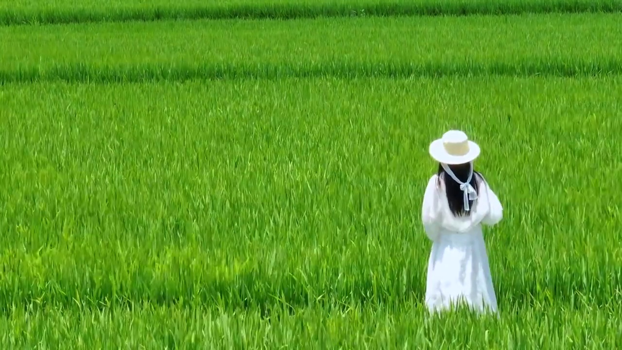 美少女站在绿色水稻田大片乡村振兴航拍夏季视频素材