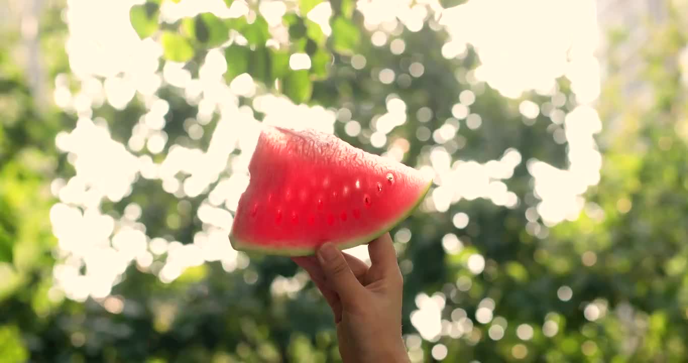 夏天,西瓜,水果,阳光明媚（选编）视频下载