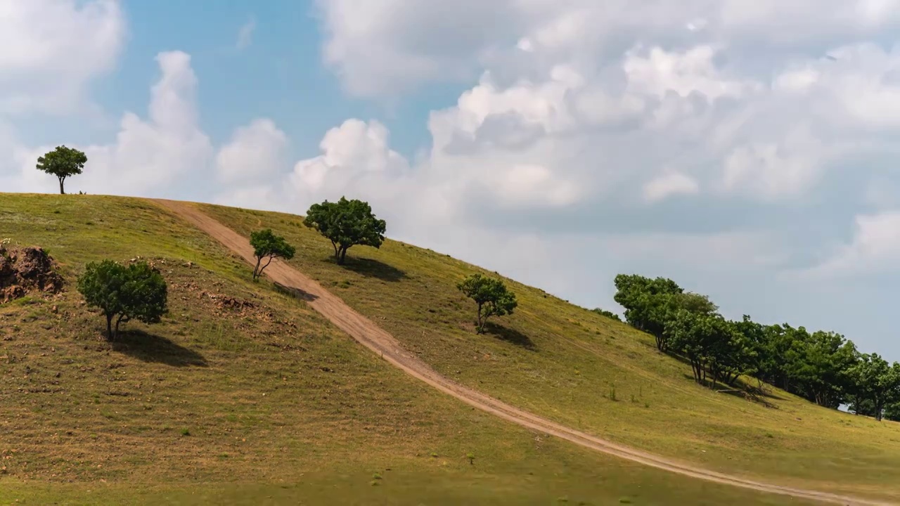 乌兰布统坝上草原的夏天视频素材