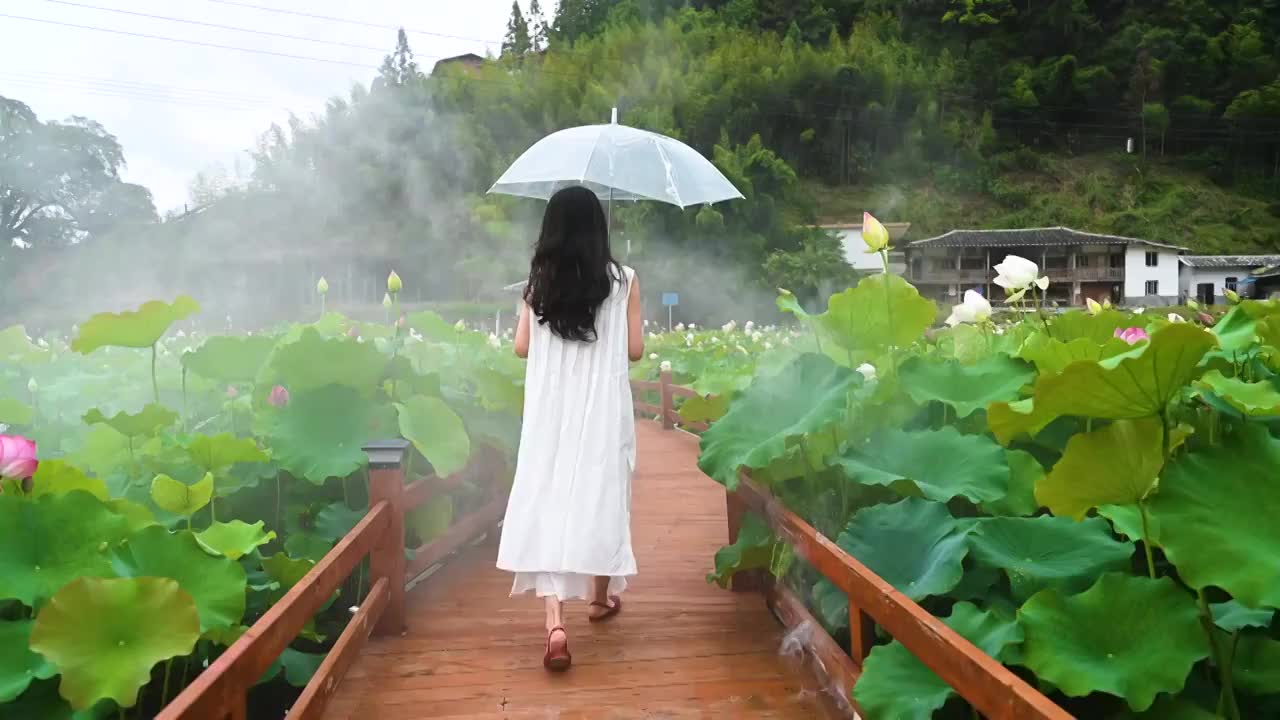 荷花池里夏季美少女行走背影清晨烟云雾缭绕视频素材