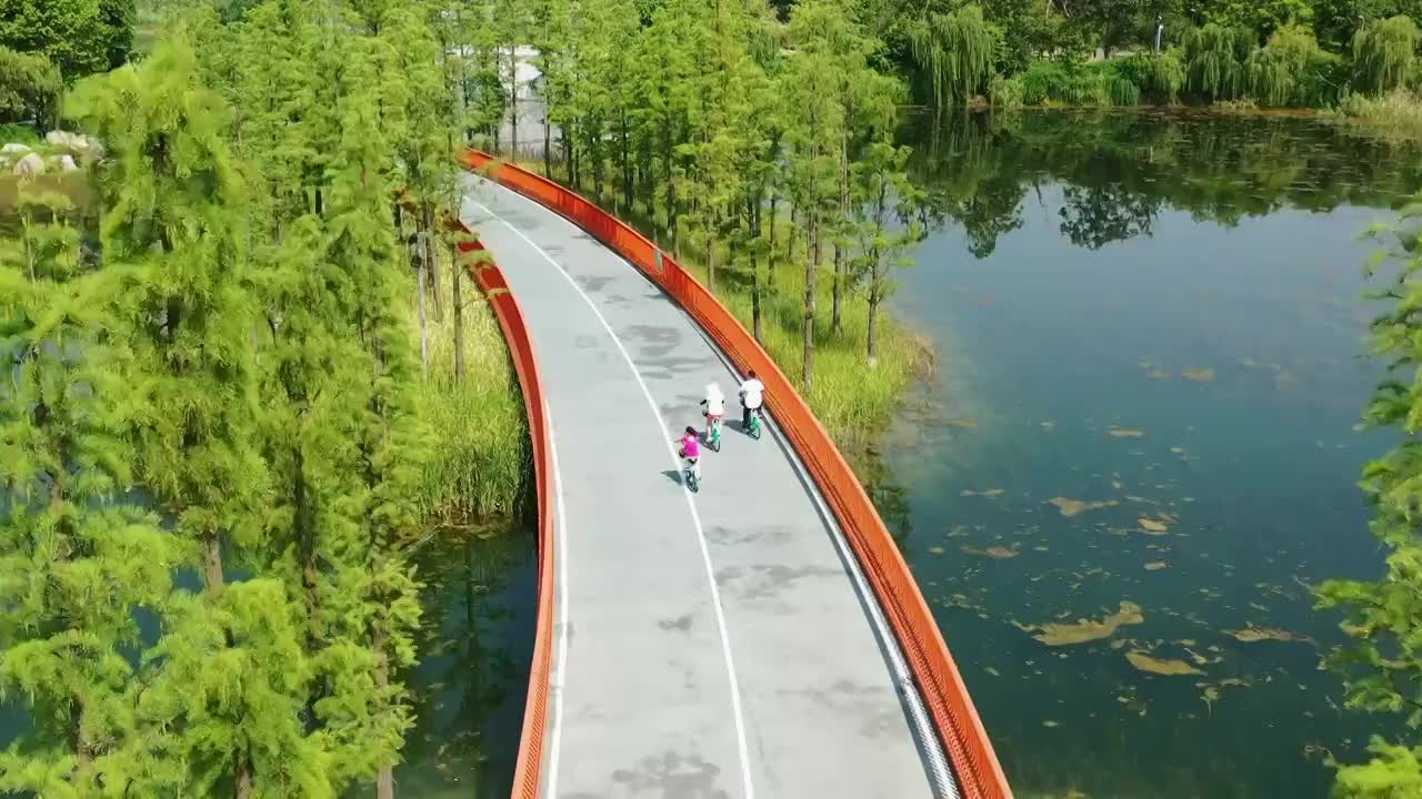 航拍一家三口骑行天府绿道幸福欢乐景象视频素材
