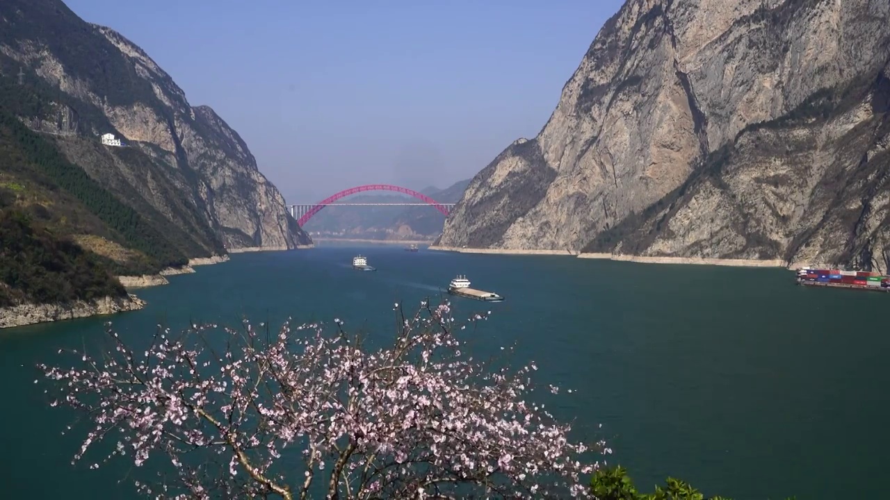 湖北宜昌 船舶行驶在桃花盛开的西陵峡江段视频素材