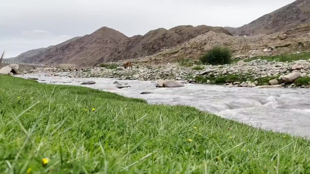 草原山川溪流视频素材