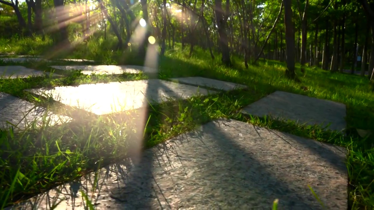 阳光下的公园青石板台阶视频下载