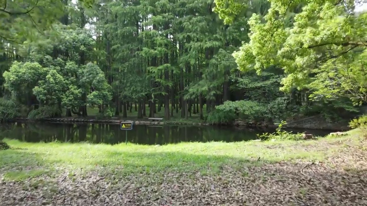 上海共青森林公园上海杨浦共青公园4K航拍视频素材