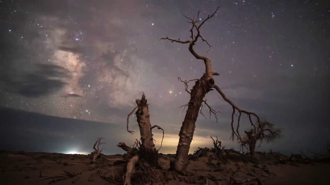 内蒙额济纳胡杨林的星空银河视频素材