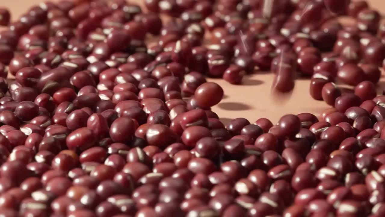 红豆洒落视频下载