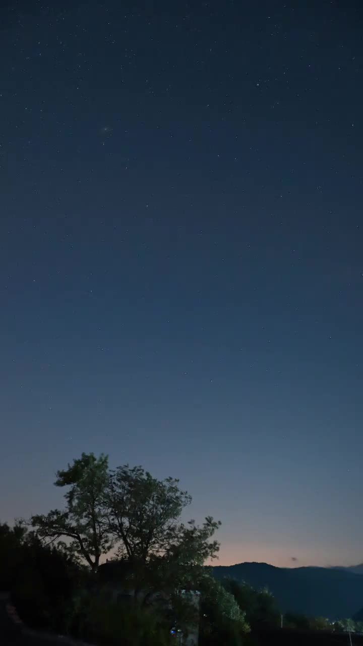 晴空低视角浙江省绍兴市上虞区覆卮山度假村景区夜晚以树为前景的星空延时竖屏视频素材