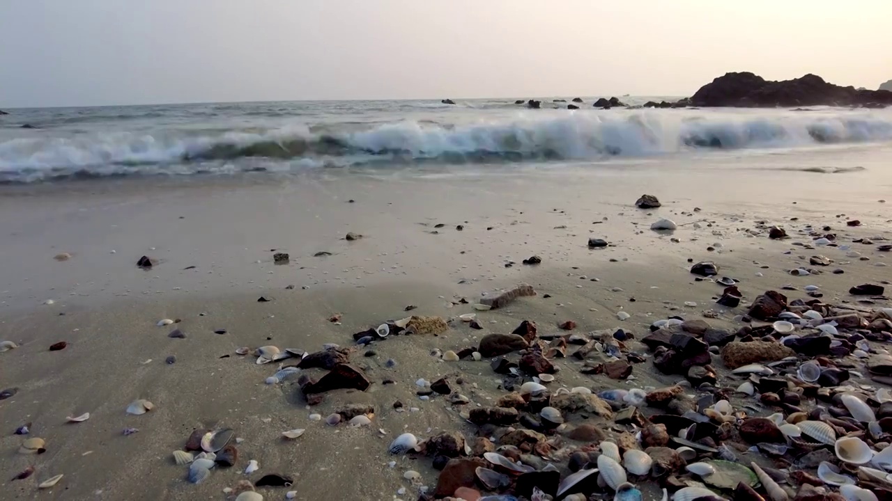 贝壳大海环境视频素材