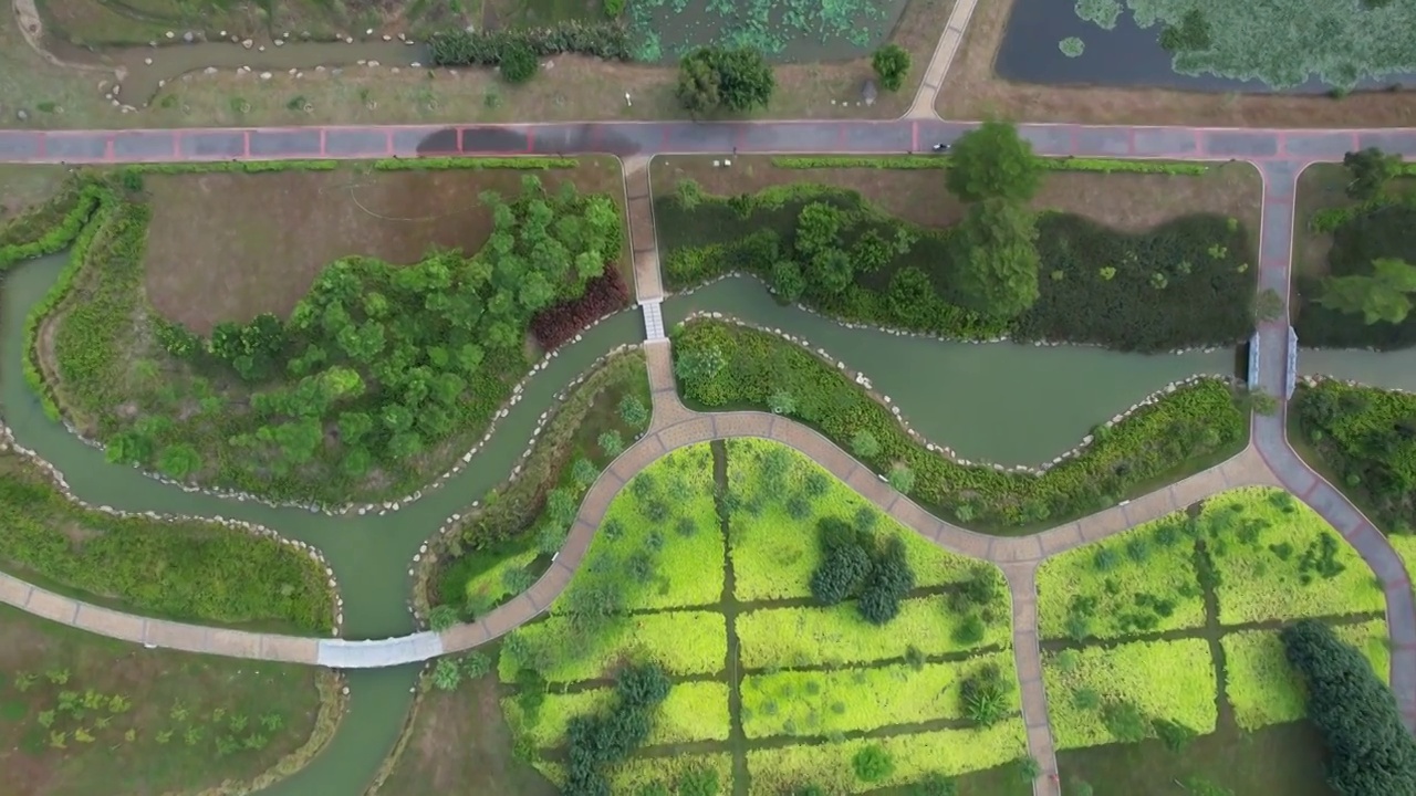 深圳石岩湖湿地公园视频素材