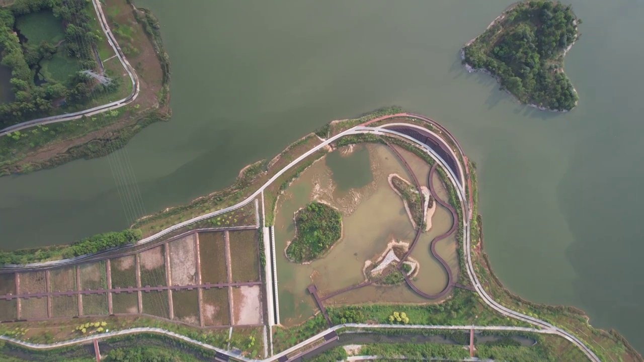 深圳石岩湖湿地公园视频下载