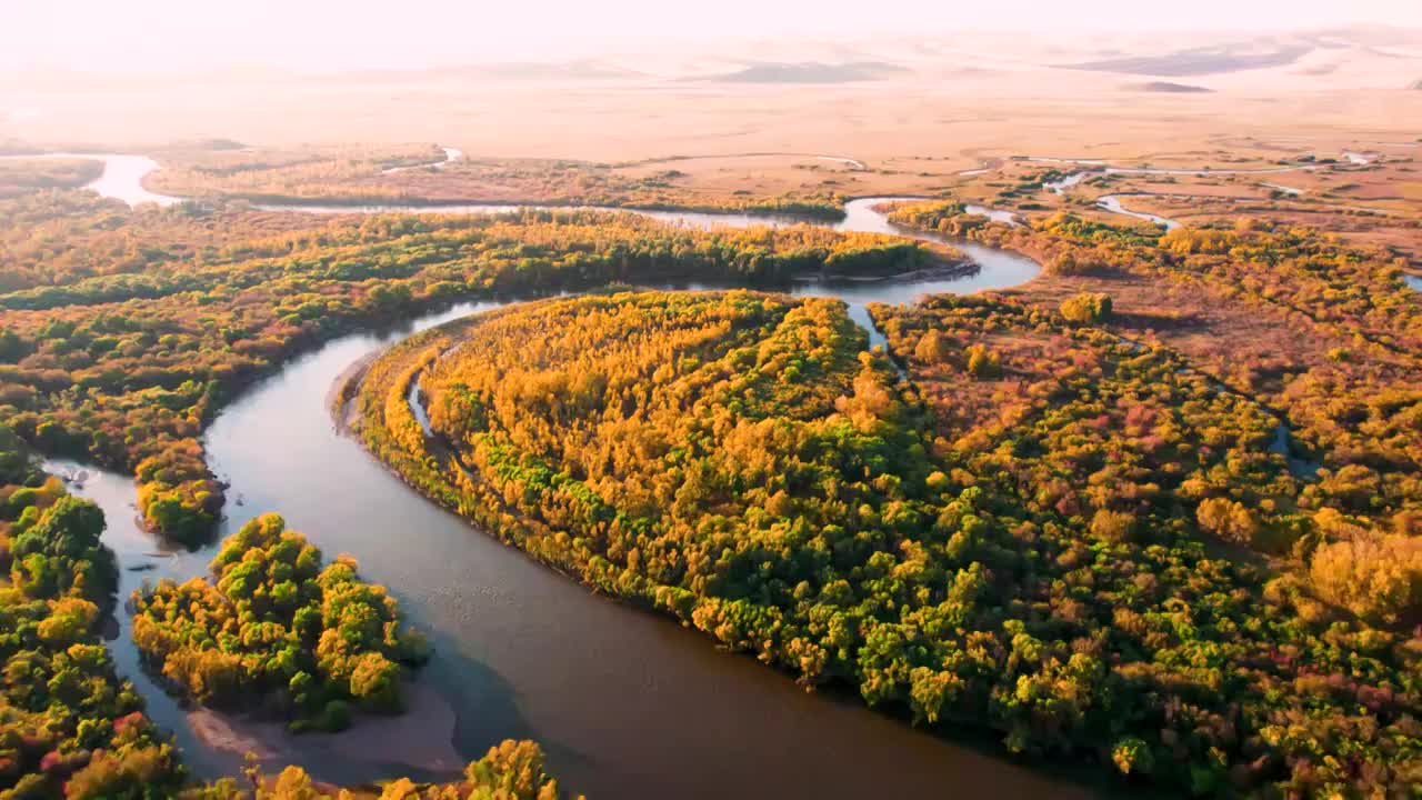 航拍内蒙古呼伦贝尔额尔古纳湿地景区秋天自然风景视频下载
