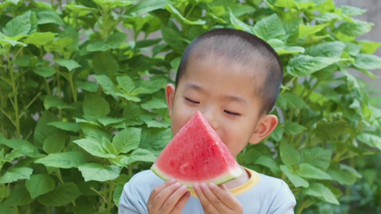 夏天男童农院吃西瓜视频下载