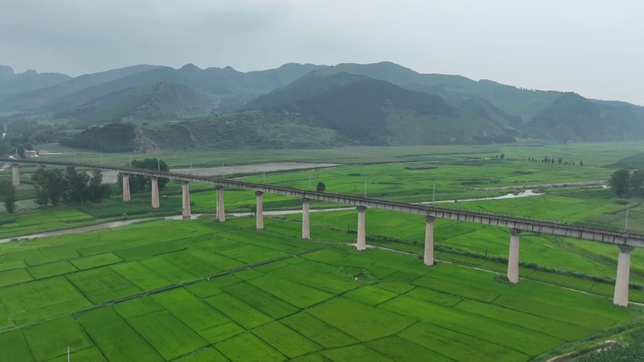 铁路高架桥横穿绿油油的田地视频素材