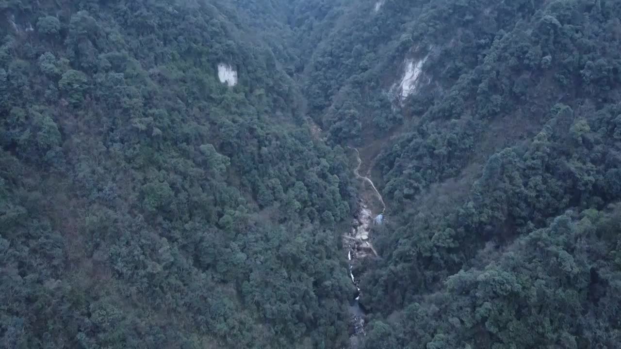 航拍青城后山云雾森林视频素材