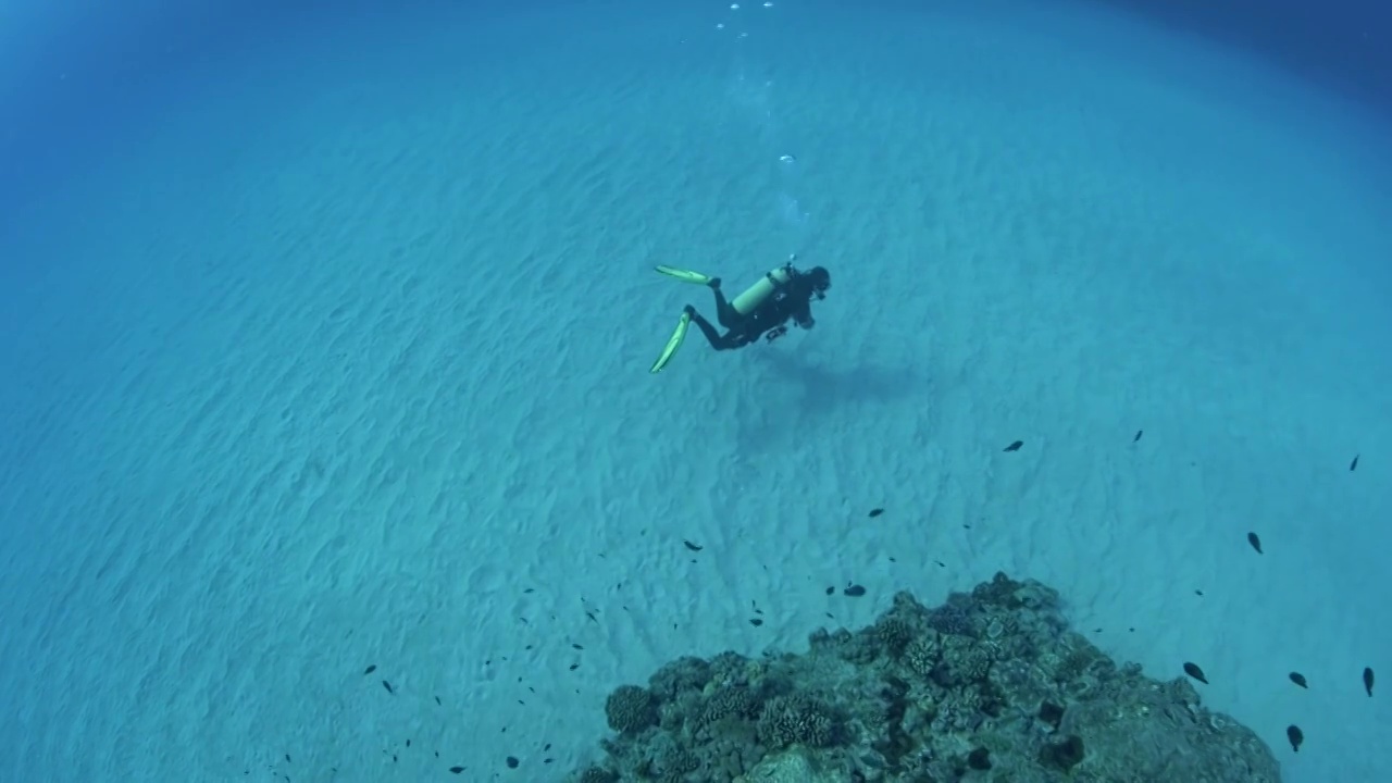 水下摄影潜水员海底水下探索视频下载