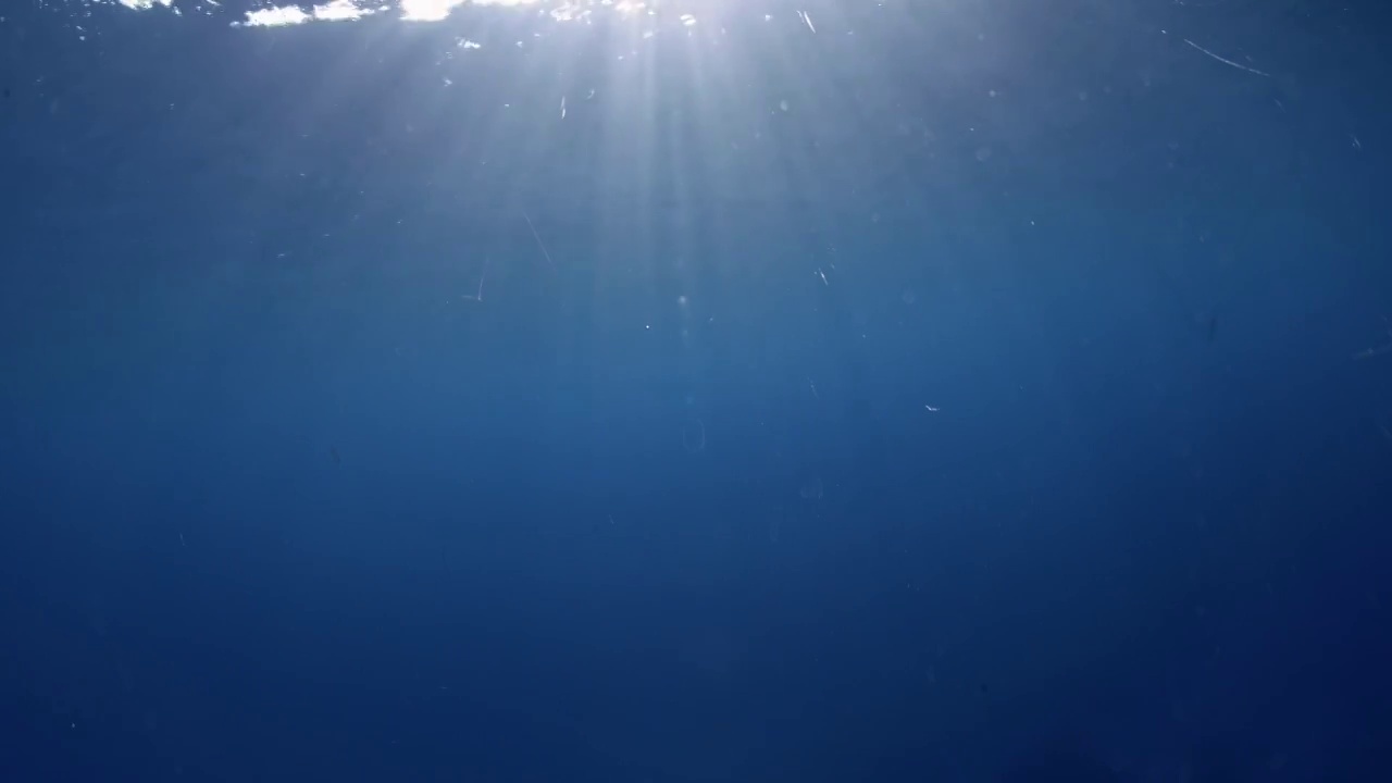 水下摄影阳光照射在蔚蓝的海面下视频下载