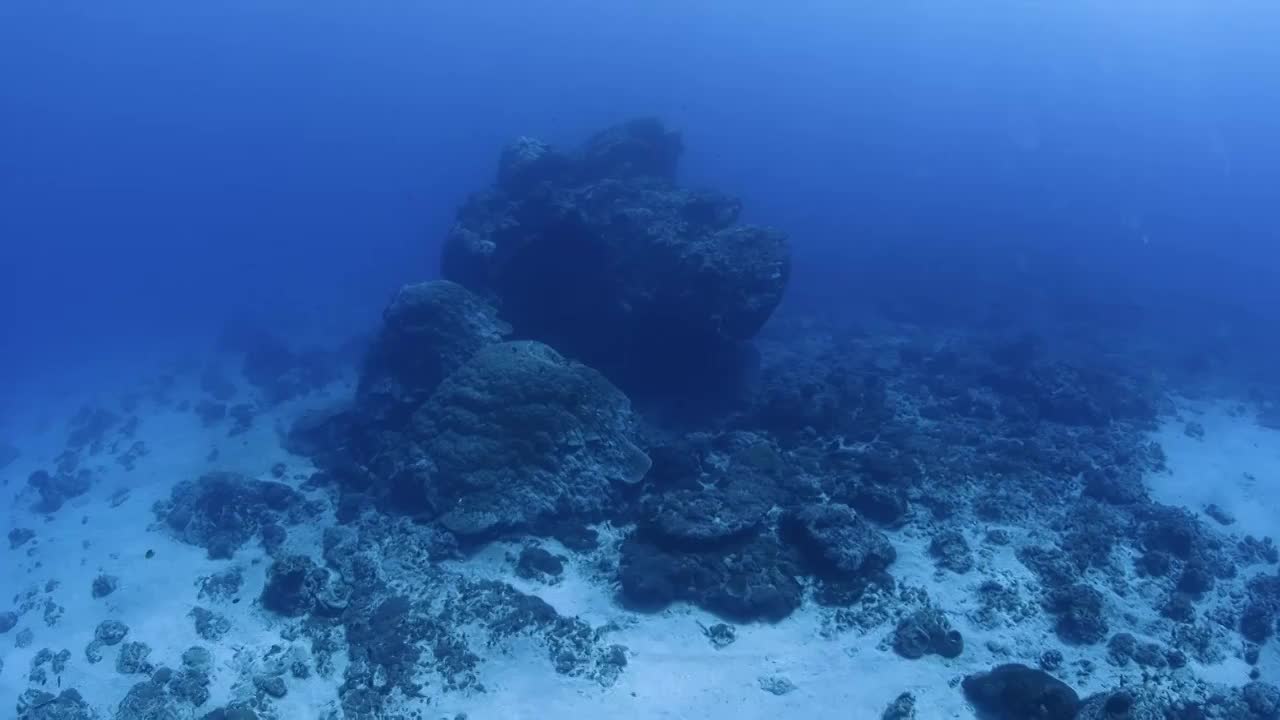 水下摄影台湾绿岛海底世界珊瑚礁生态视频下载