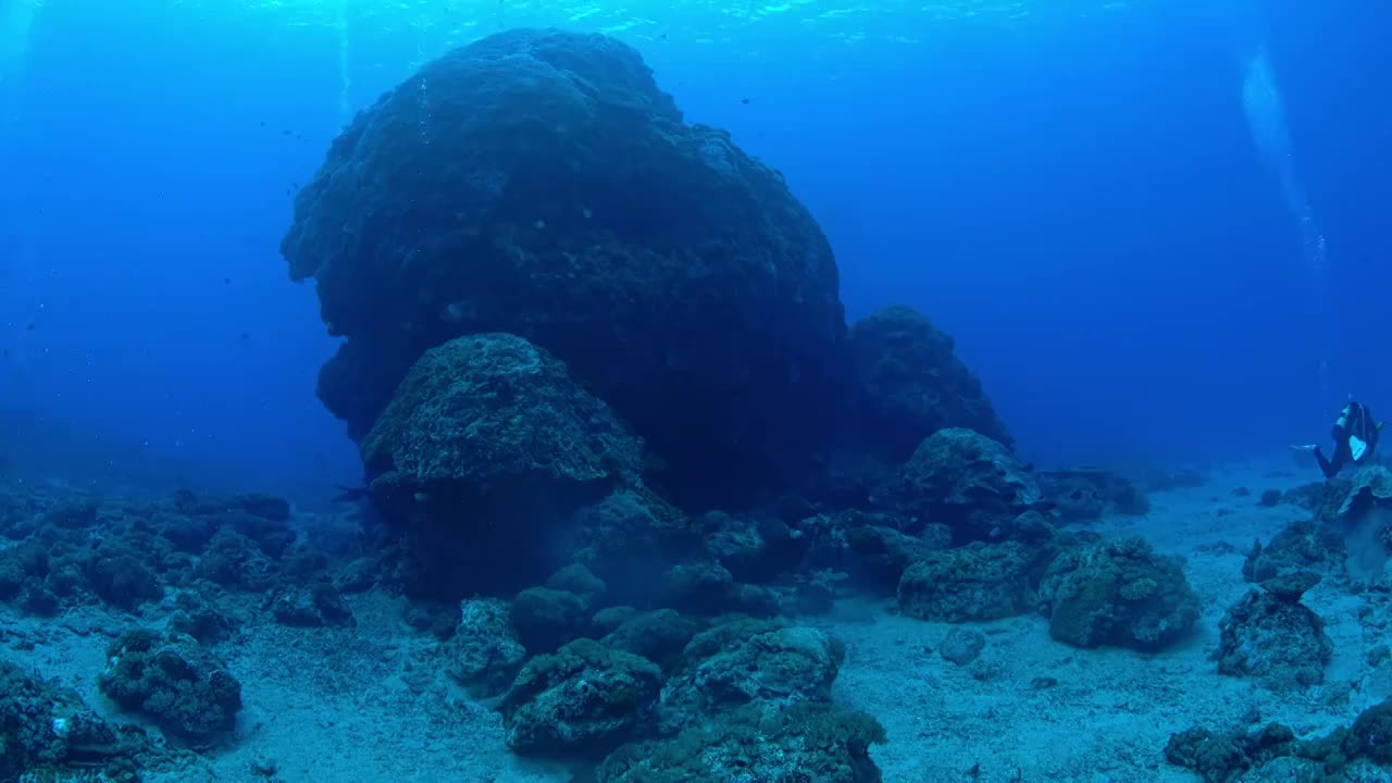 水下摄影台湾绿岛海底世界珊瑚礁生态视频下载