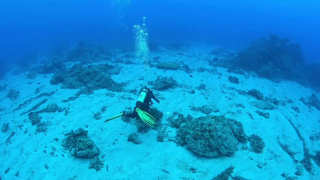 水下摄影潜水员海底水下探索视频素材