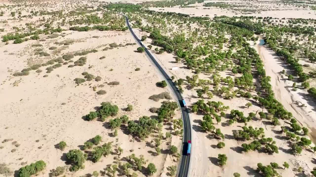 航拍塔里木河流域的胡杨林和沙漠公路视频素材