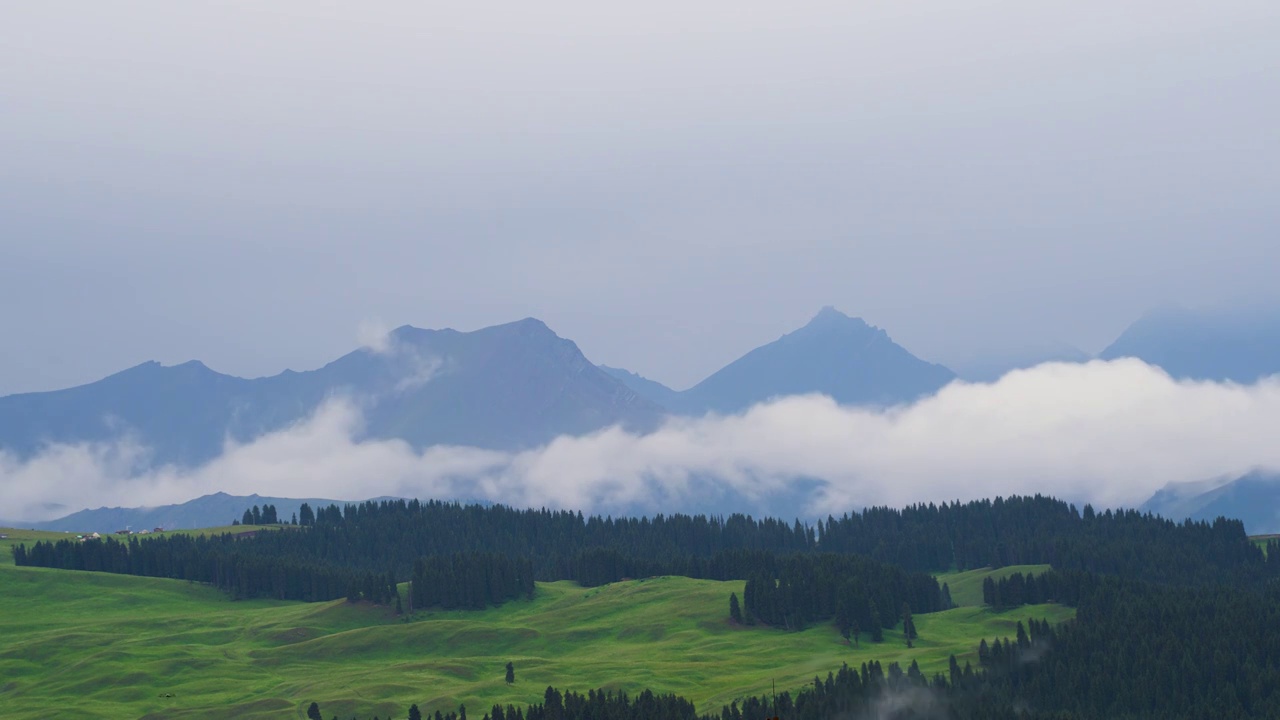 新疆昌吉地区江布拉克草原森林云雾延时摄影视频素材