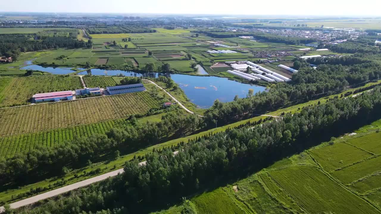 夏季东北乡村农田，湖泊，植被鸟瞰视频下载