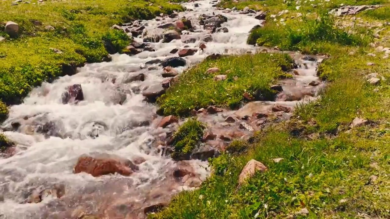 原生态草原溪流自然风光视频素材